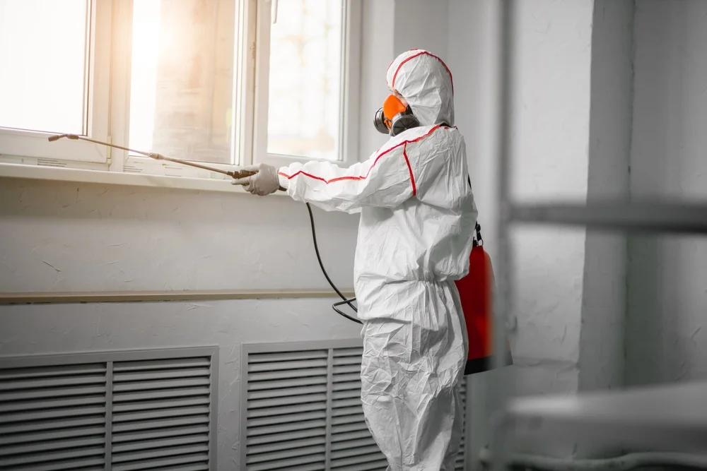 Professional mold remediation services in Simonton, TX